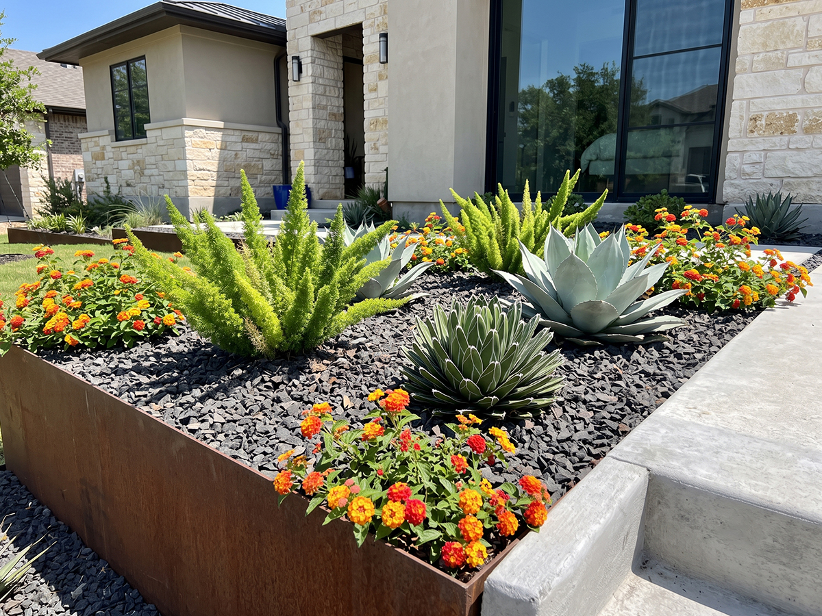 Native planting Austin TX